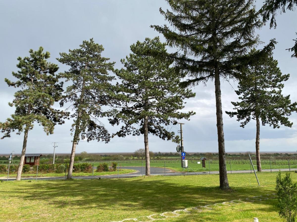 Harol Home & Bike Fertőrákos エクステリア 写真