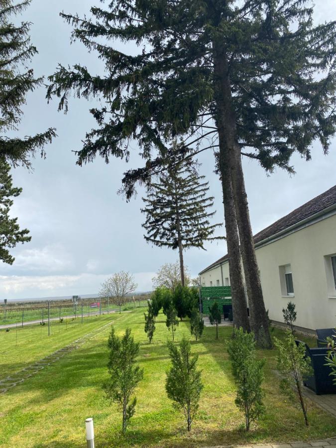 Harol Home & Bike Fertőrákos エクステリア 写真